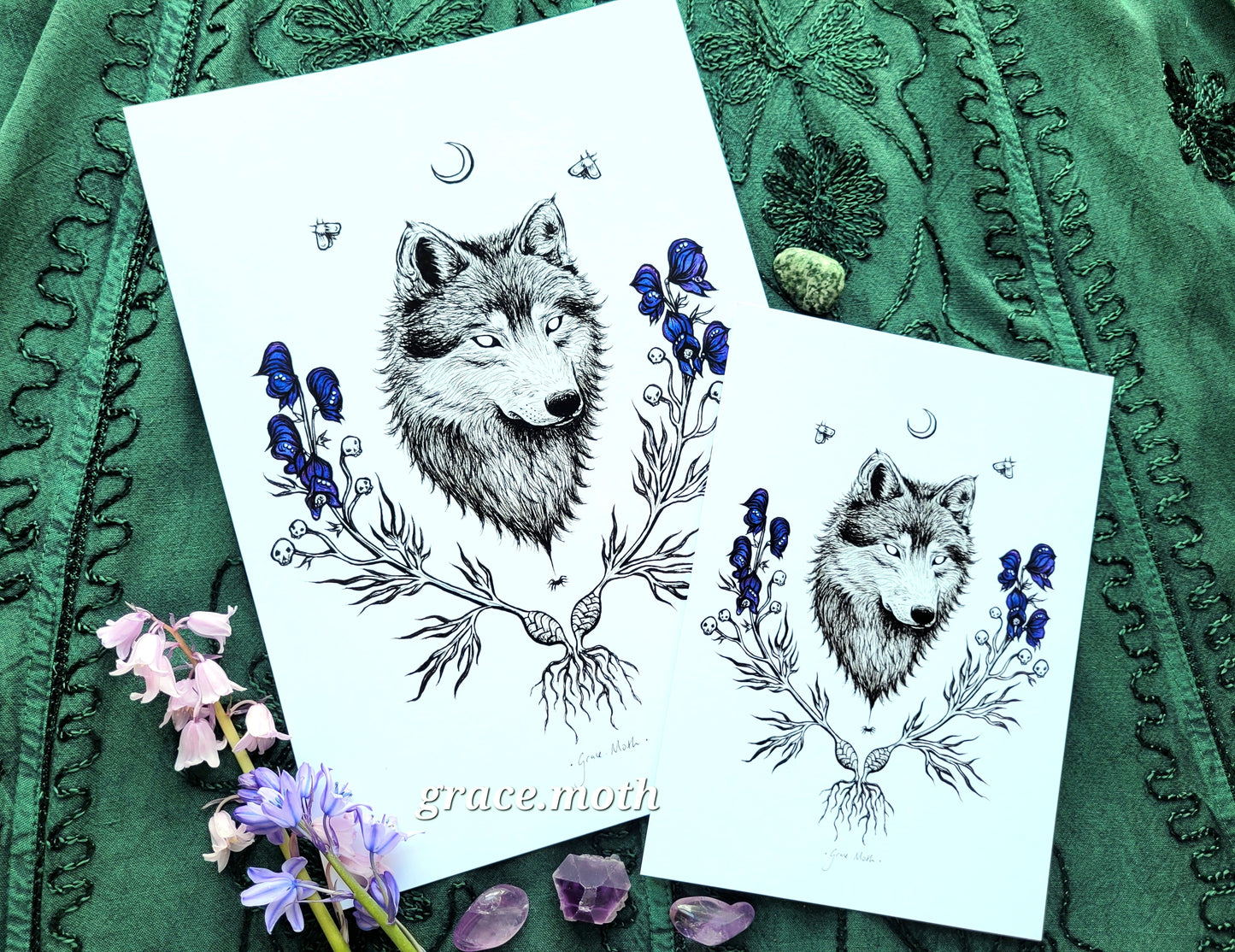 Wolfsbane - A5 or A4 art print by Grace Moth - 5.8 x 8.3