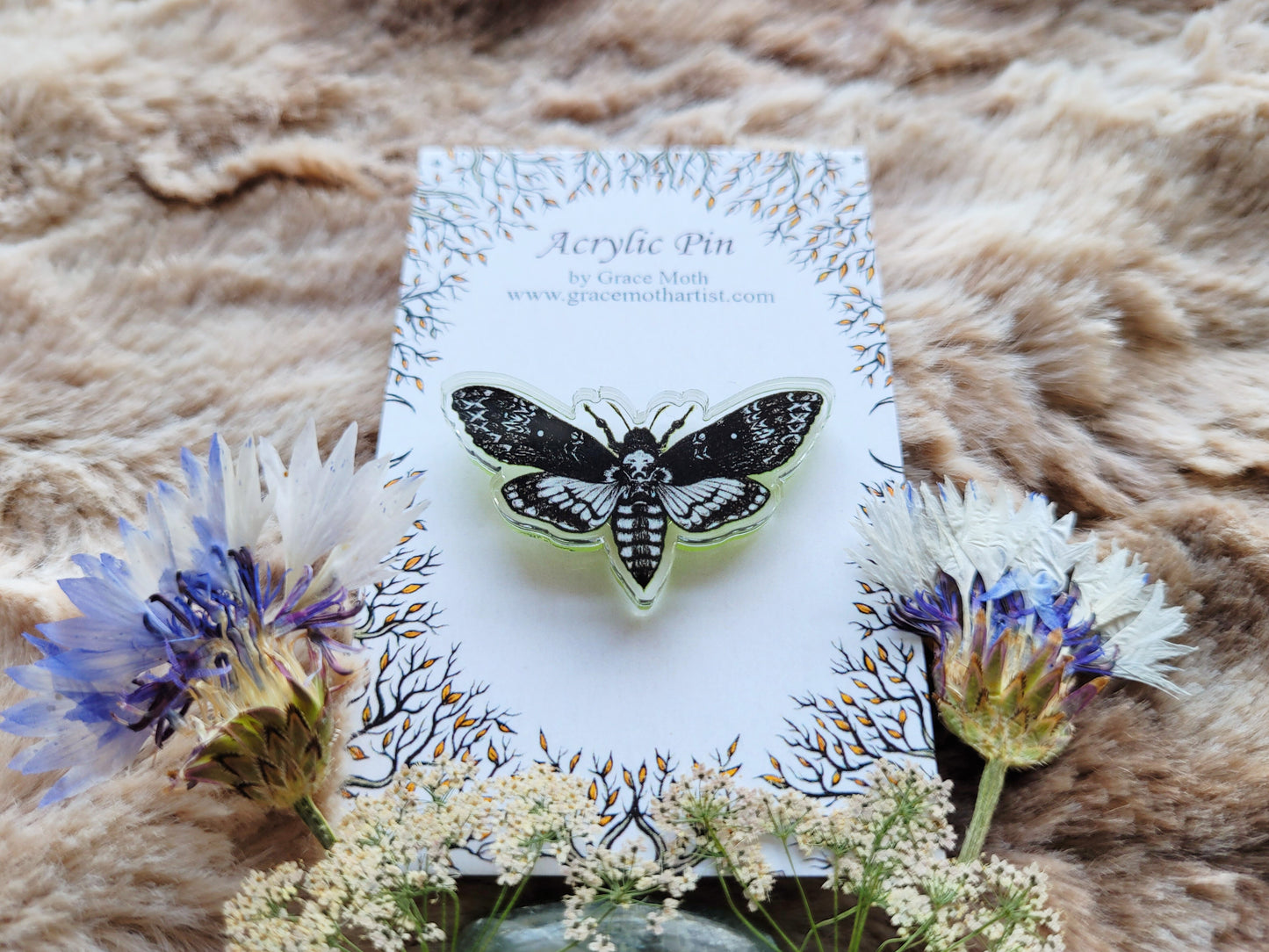 Death head hawk moth illustrated pin, recycled clear acrylic, by Grace Moth