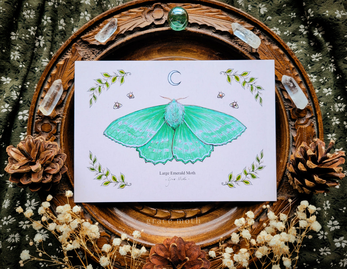 Emerald Moth - A6 print Illustrated by Grace Moth - 5.8 x 4.1 - Entomology