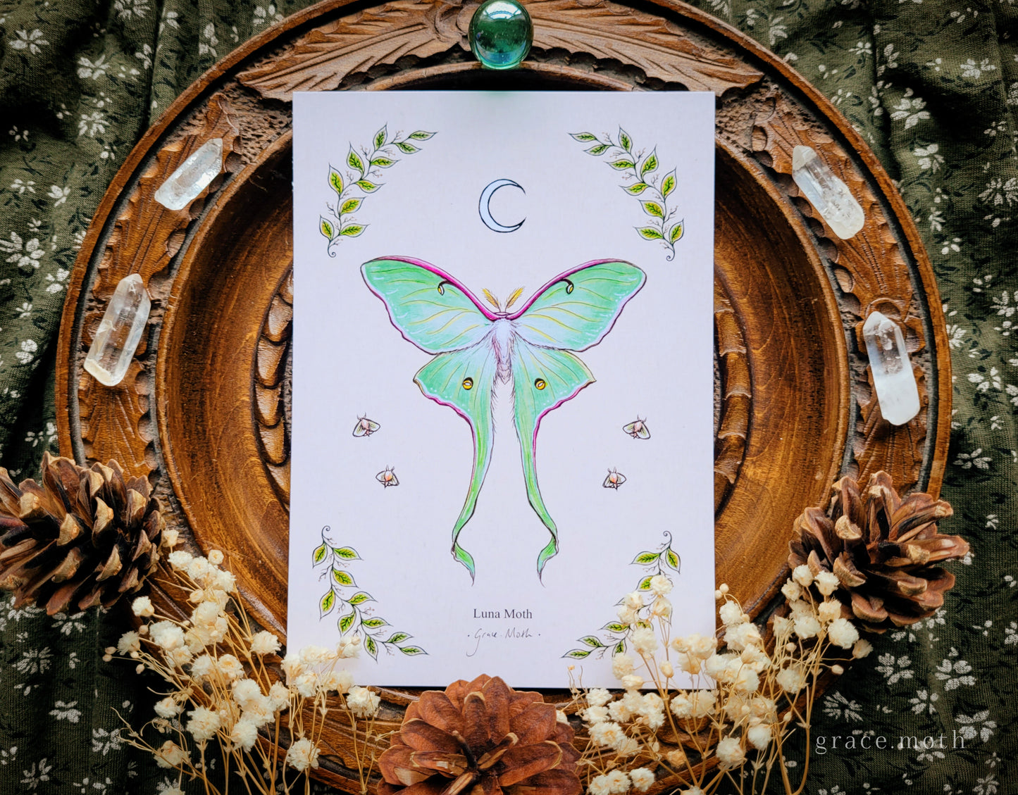 Luna Moth - A6 print Illustrated by Grace Moth - 5.8 x 4.1 - Entomology