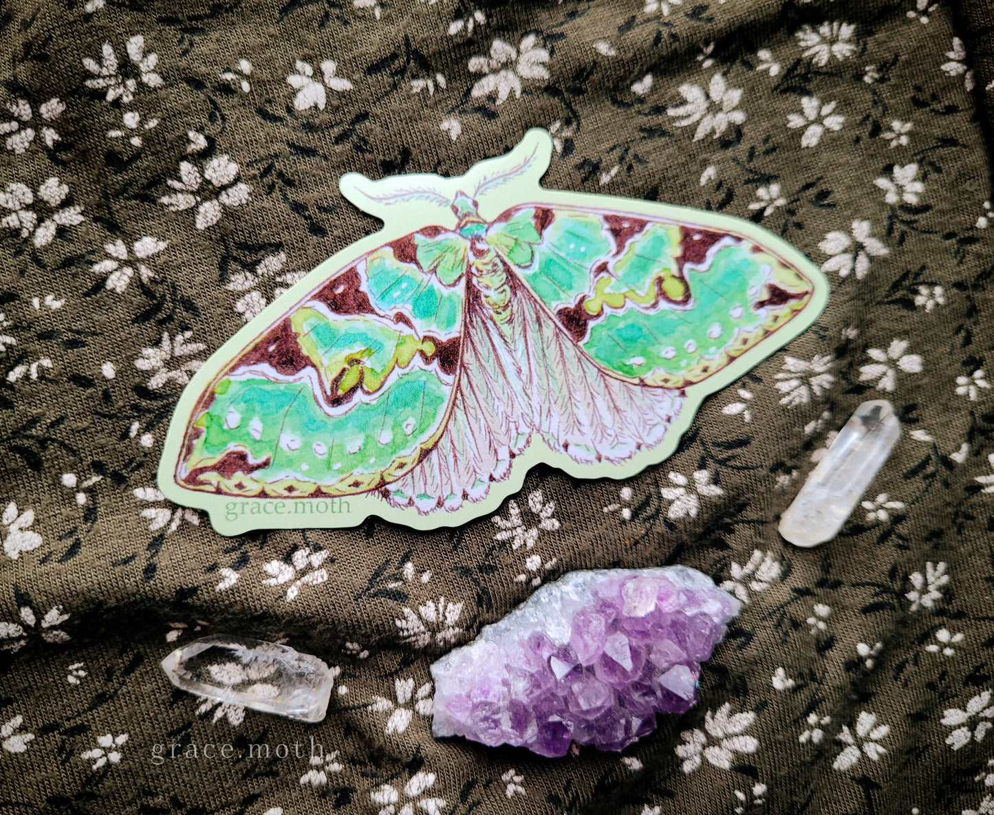 Green Carpet Moth - Vinyl Sticker - 10cm illustrated by Grace Moth - Entomology - Insects - Watercolour