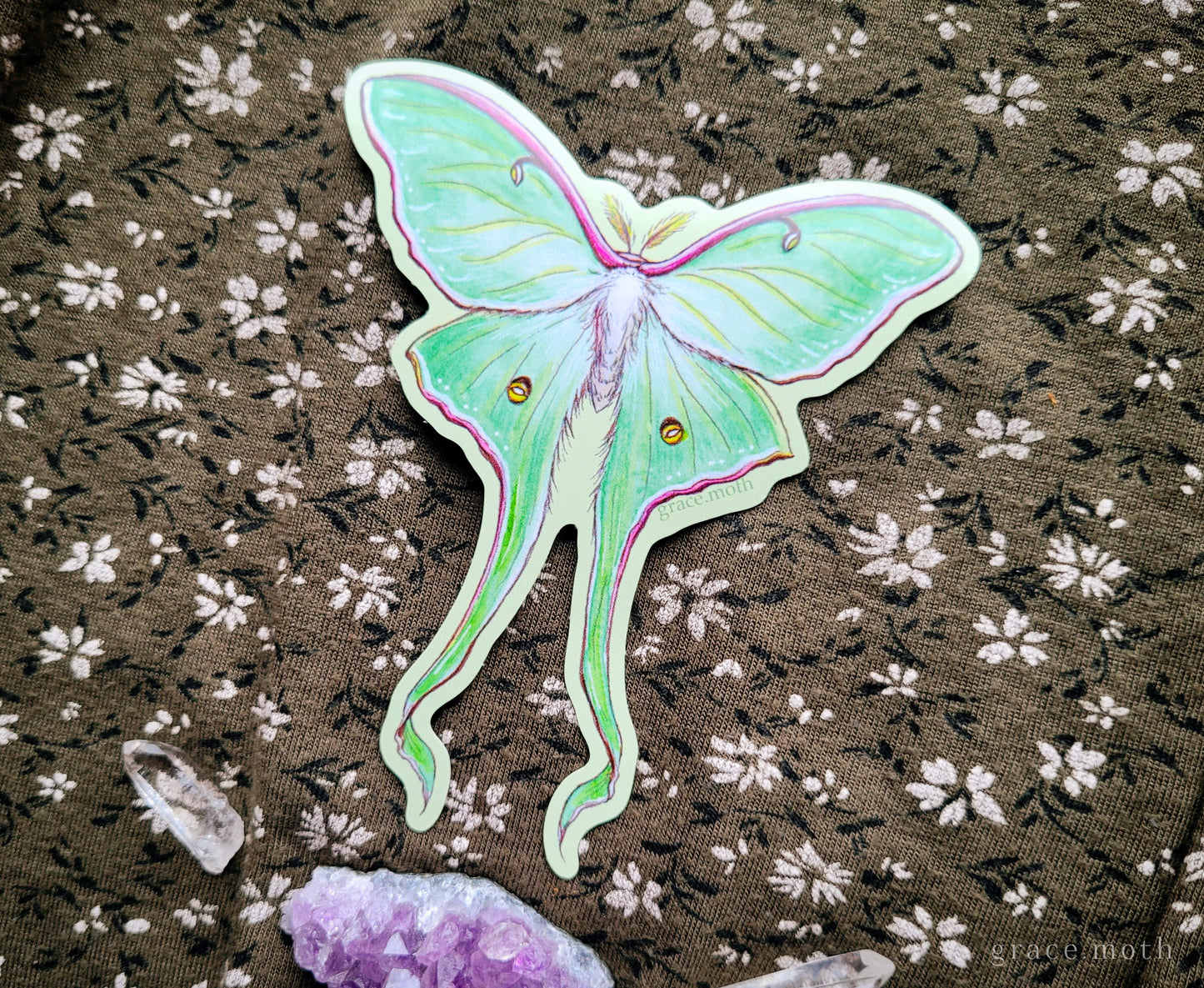 Luna Moth - Vinyl Sticker - 10cm illustrated by Grace Moth - Entomology - Insects - Watercolour