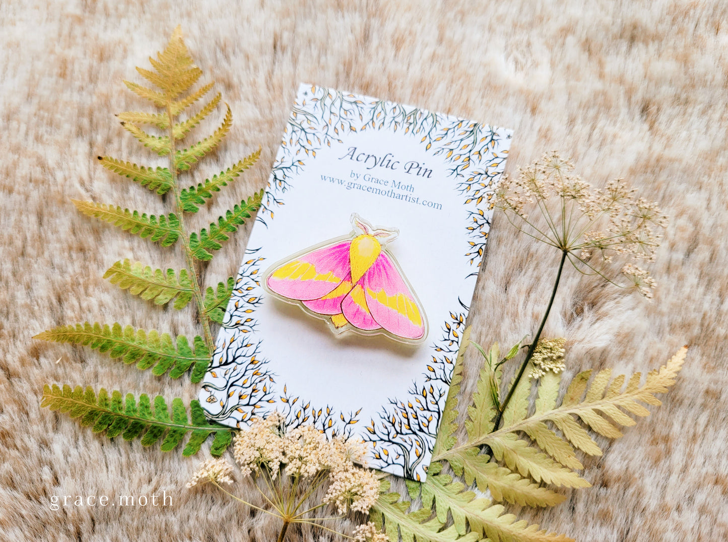 Rosy Maple pin, recycled clear acrylic, by Grace Moth - Pink Moth, Entomology
