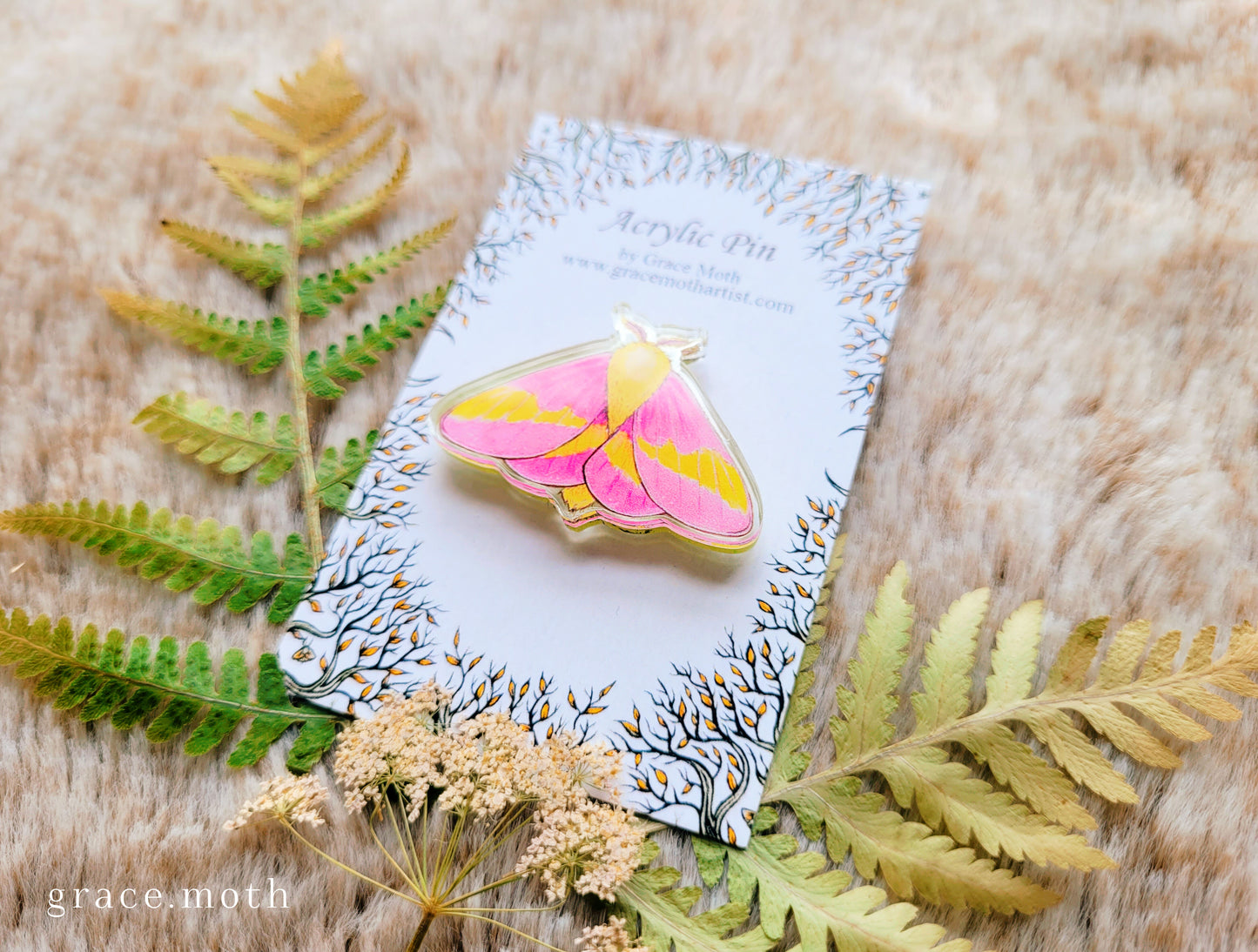 Rosy Maple pin, recycled clear acrylic, by Grace Moth - Pink Moth, Entomology