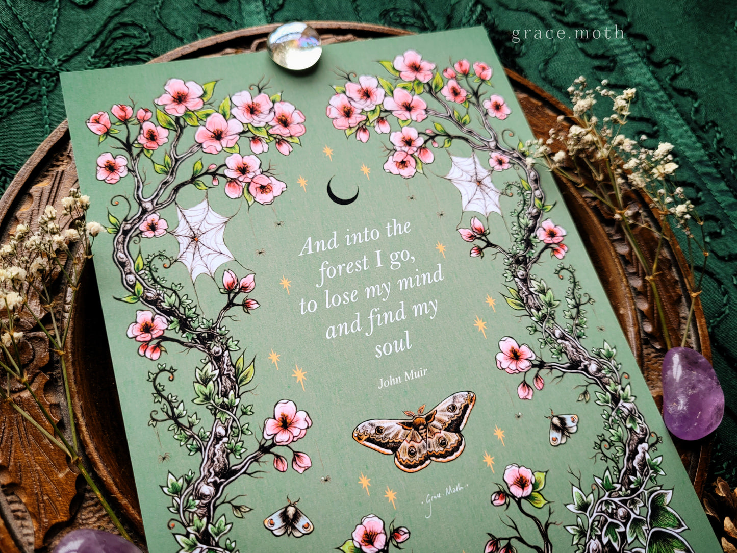 Into the woods - Blossom Moth print - A5, A4 or A3 Art print illustrated by Grace Moth