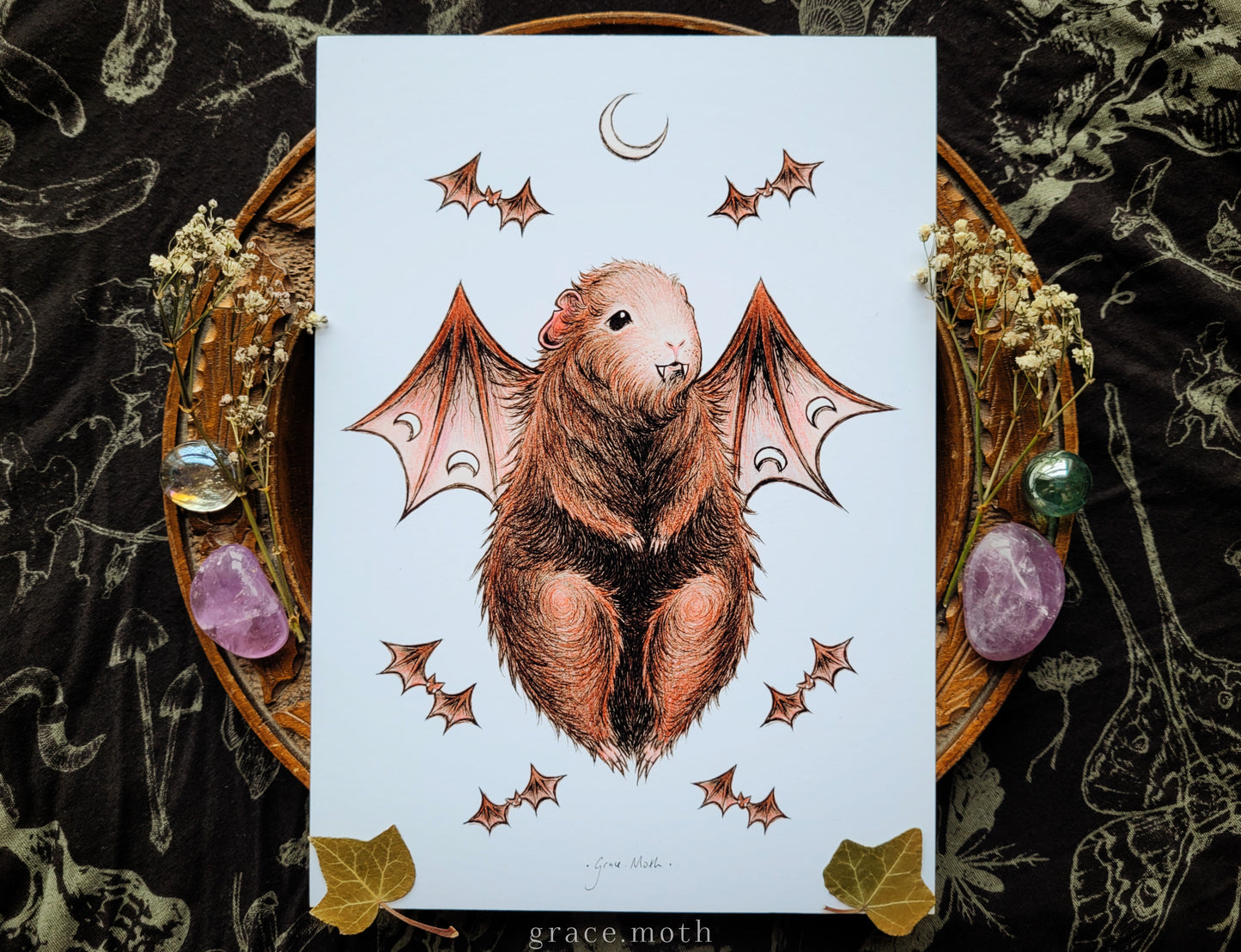 Guinea Pig Bat - White - A5 or A4 art print by Grace Moth - 5.8 x 8.3