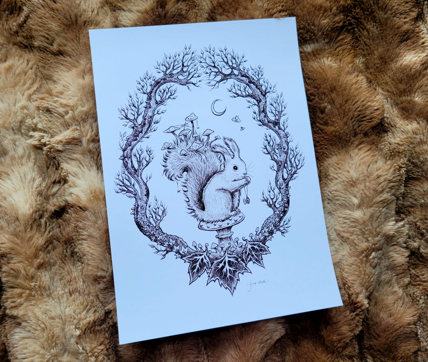 Autumn Red Squirrel - Ink Sketch - A5 or A4 art print by Grace Moth