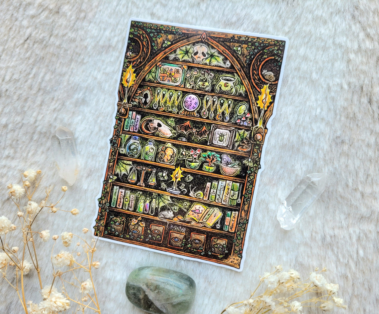 Apothecary - Vinyl Sticker 10cm by 7cm - Illustrated by Grace moth. Halloween spooky haunted oddities bookcase taxidermy curiosities witchy