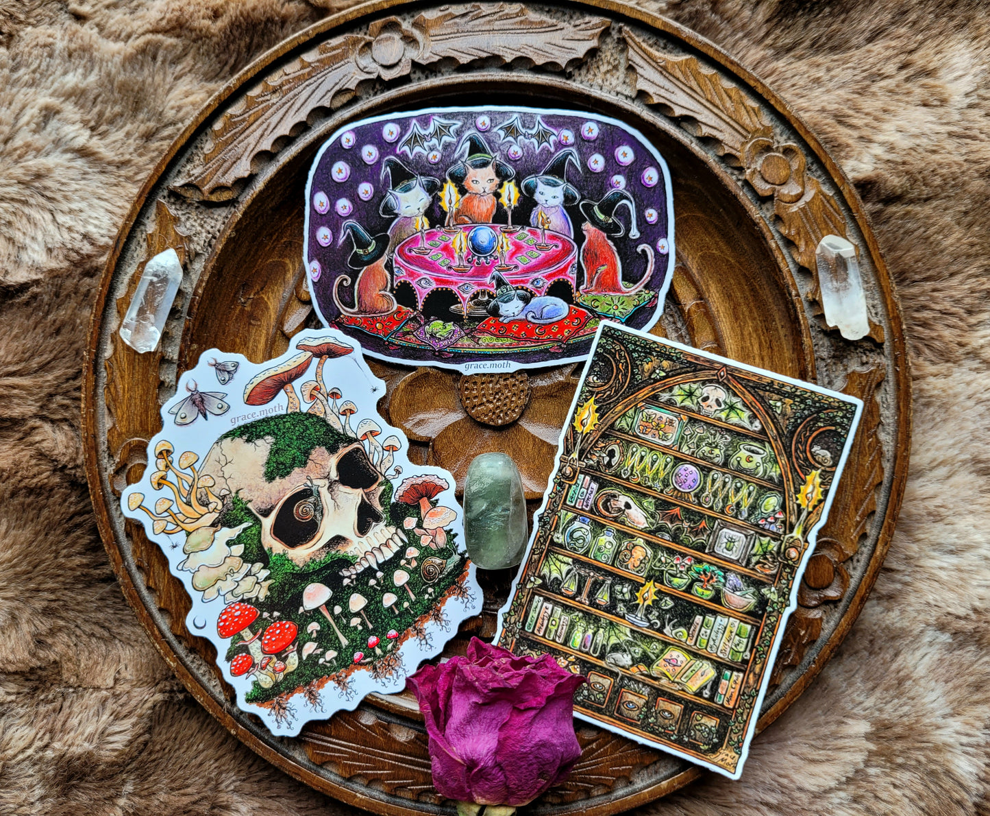 Apothecary - Vinyl Sticker 10cm by 7cm - Illustrated by Grace moth. Halloween spooky haunted oddities bookcase taxidermy curiosities witchy