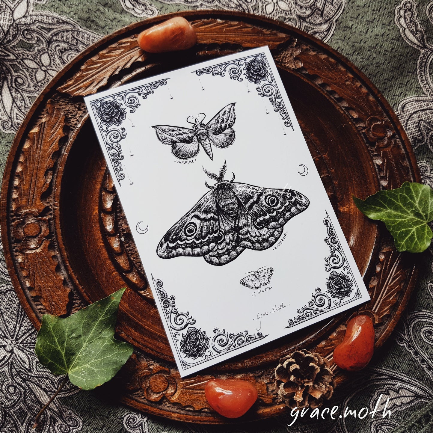 Emperor Moth BW - A6 print by Grace Moth - 5.8 x 4.1