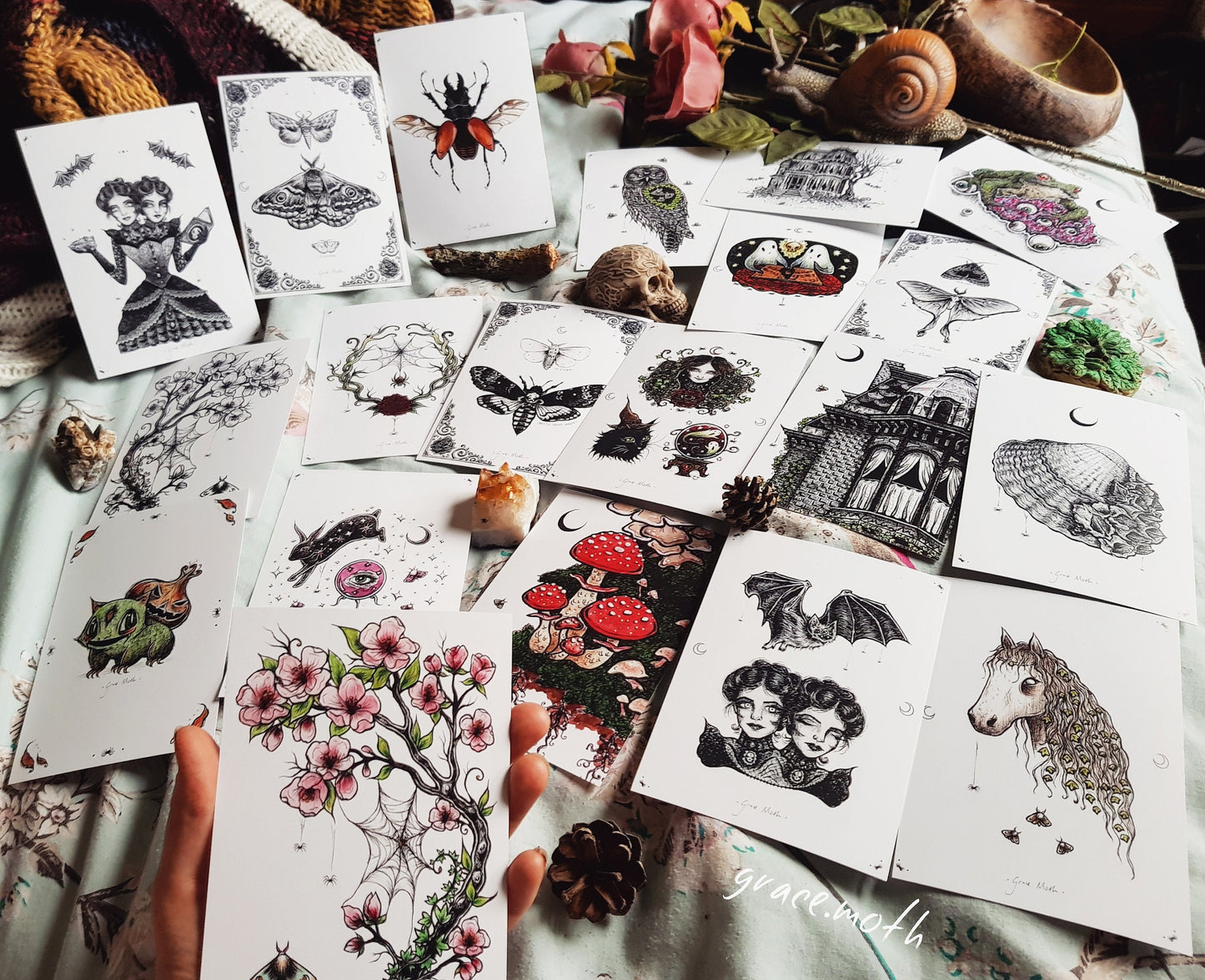 Emperor Moth BW - A6 print by Grace Moth - 5.8 x 4.1