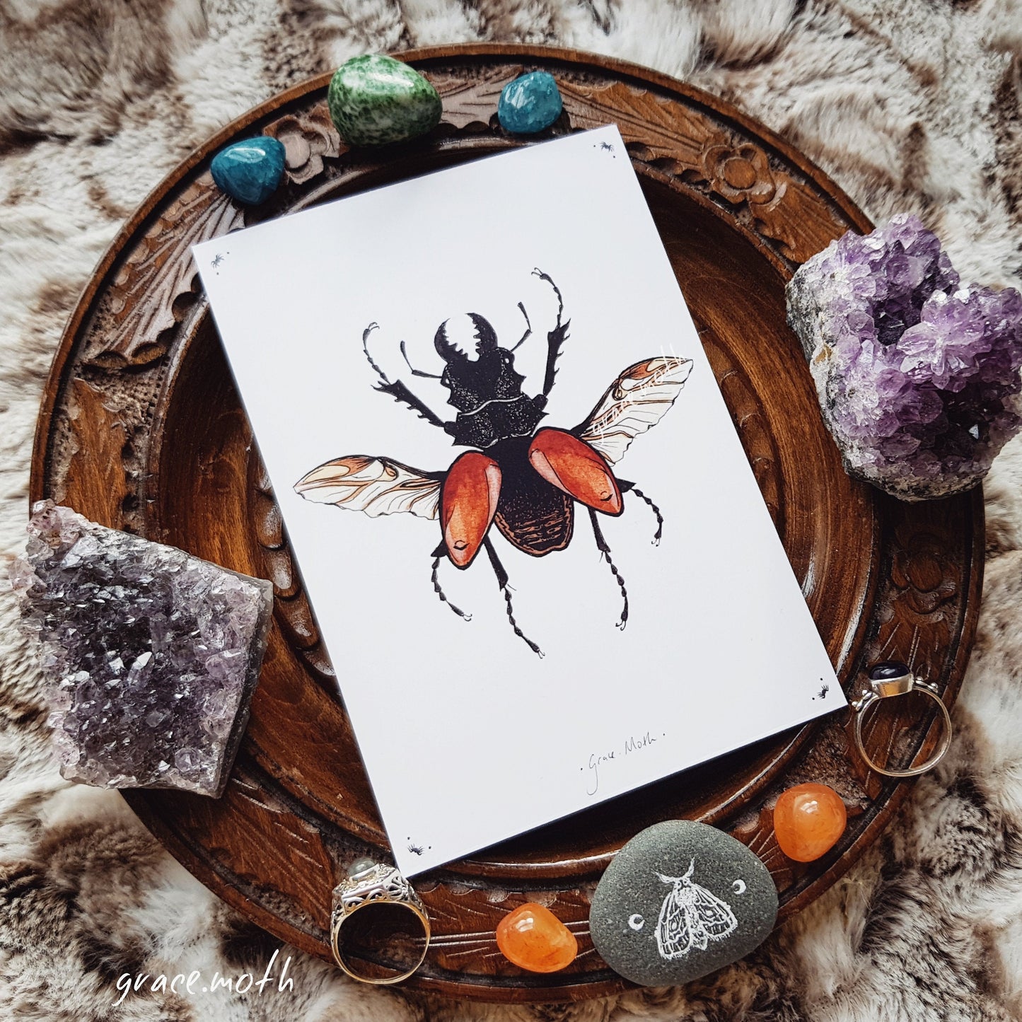 Stag Beetle - A6 print 5.8 x 4.1