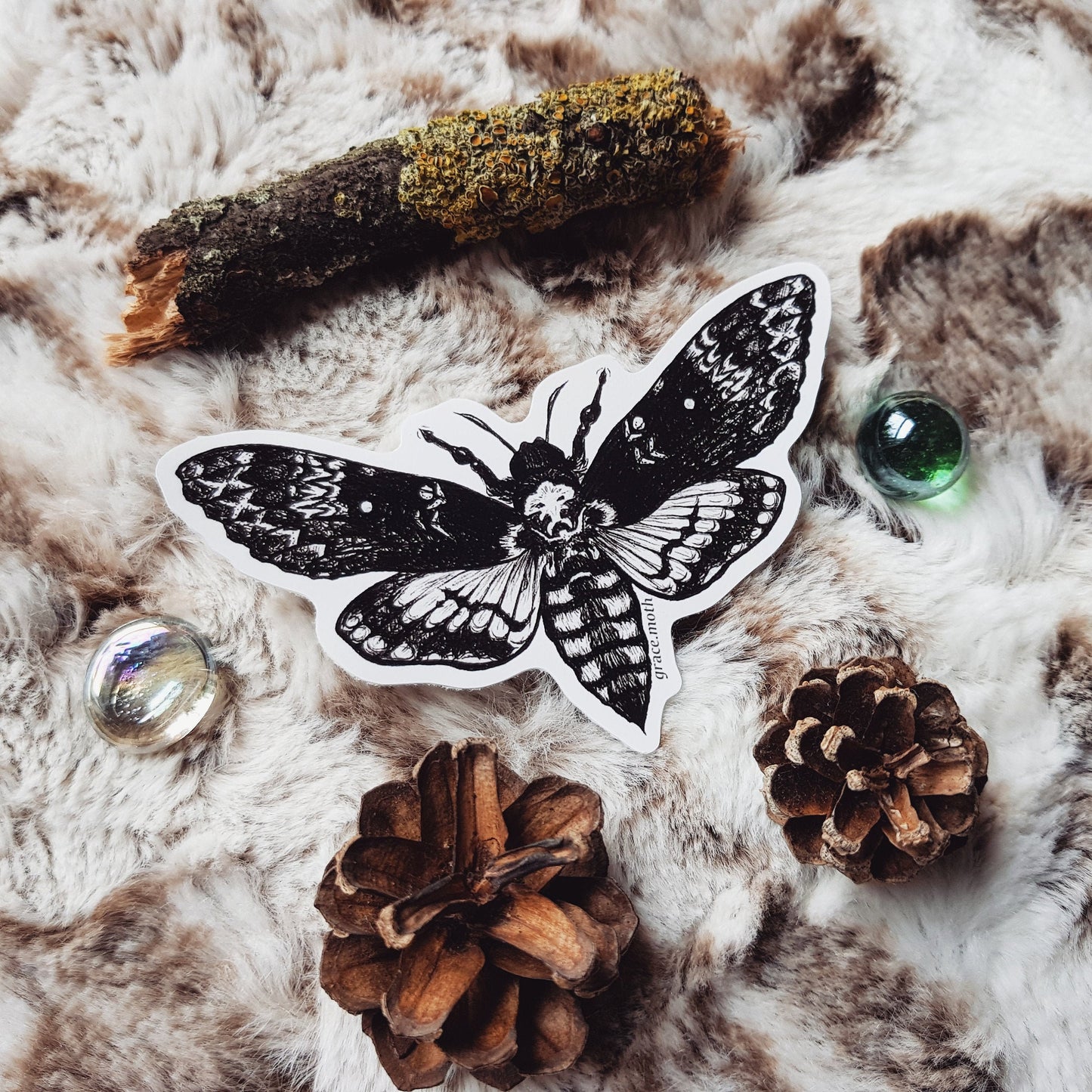 Death Head Hawk Moth - Vinyl Sticker 10cm by 6cm