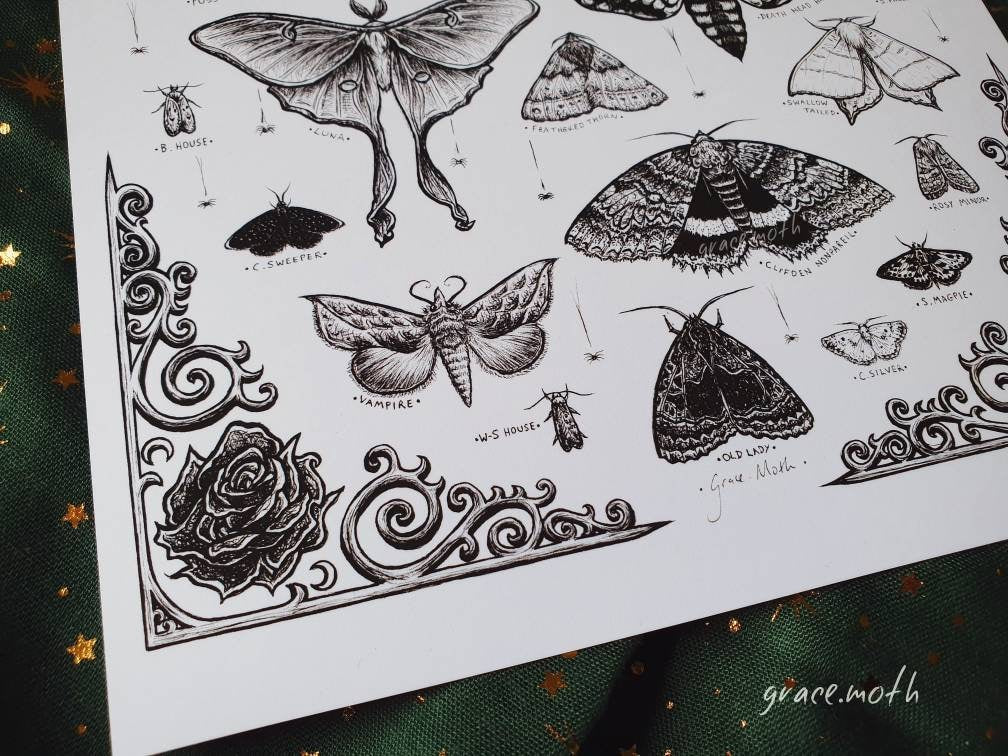Moth Treasures - A4 art print by Grace Moth - 8.3 x 11.7