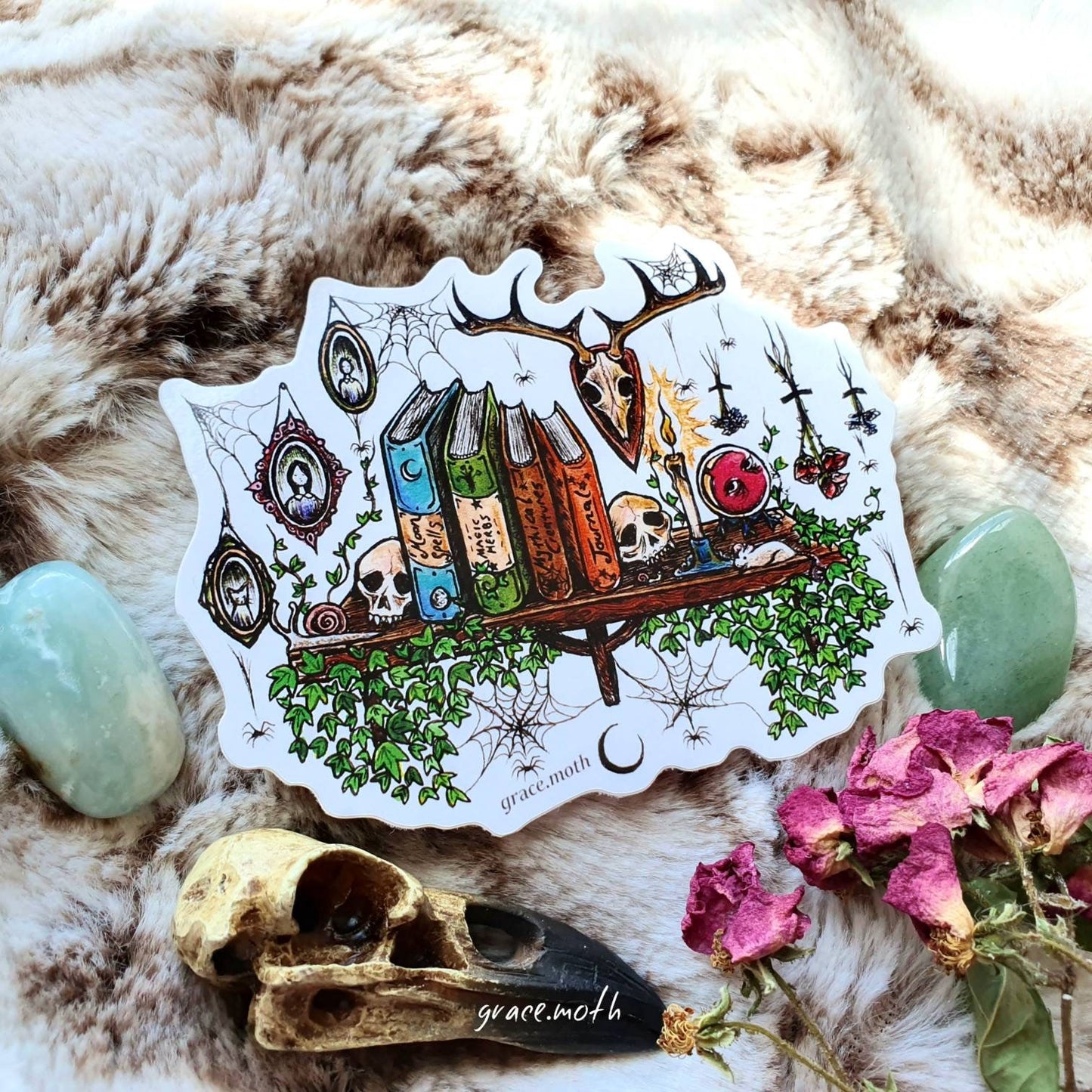 Witchy Bookshelf - Vinyl Sticker 10cm by 8cm