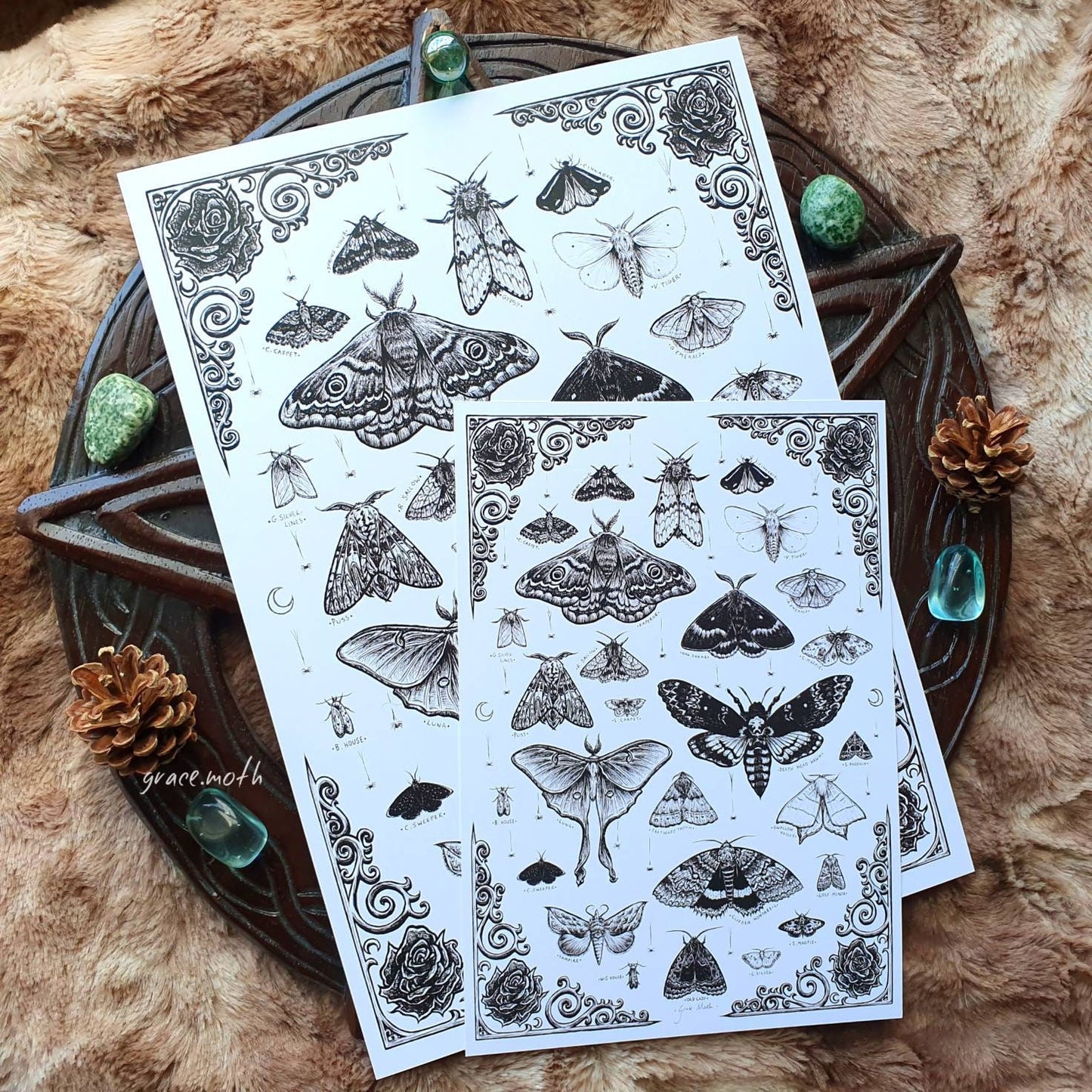 Moth Treasures - A4 art print by Grace Moth - 8.3 x 11.7