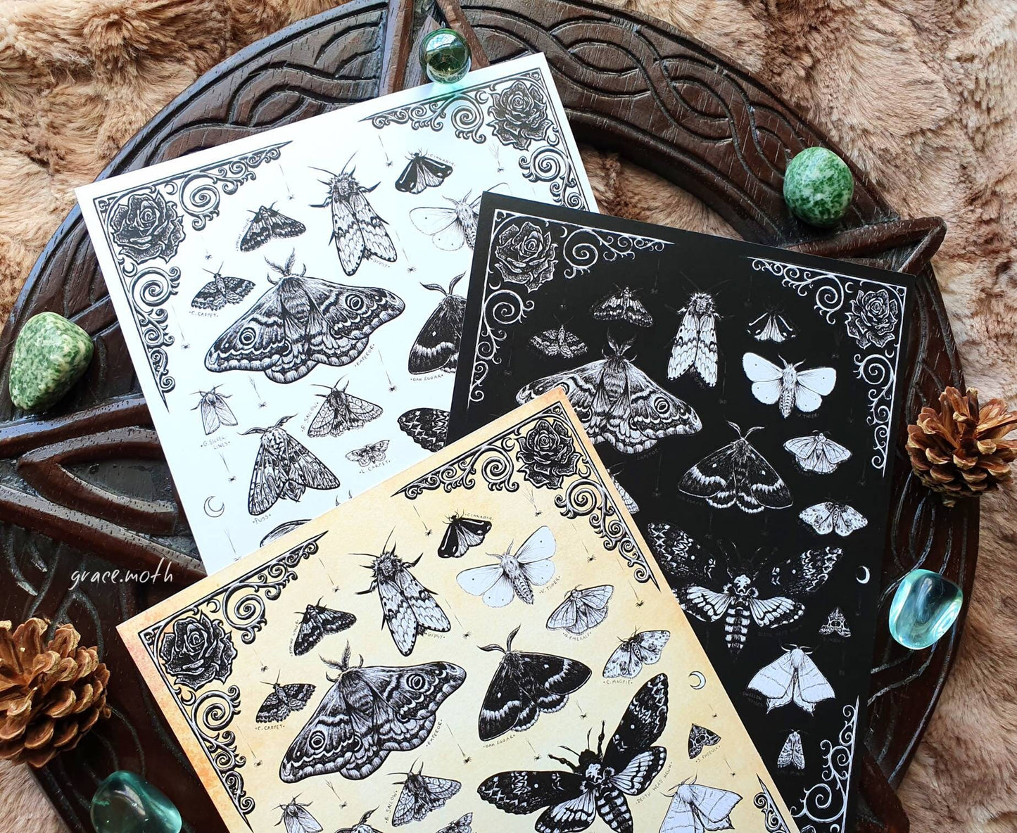 Moth Treasures - A4 art print by Grace Moth - 8.3 x 11.7