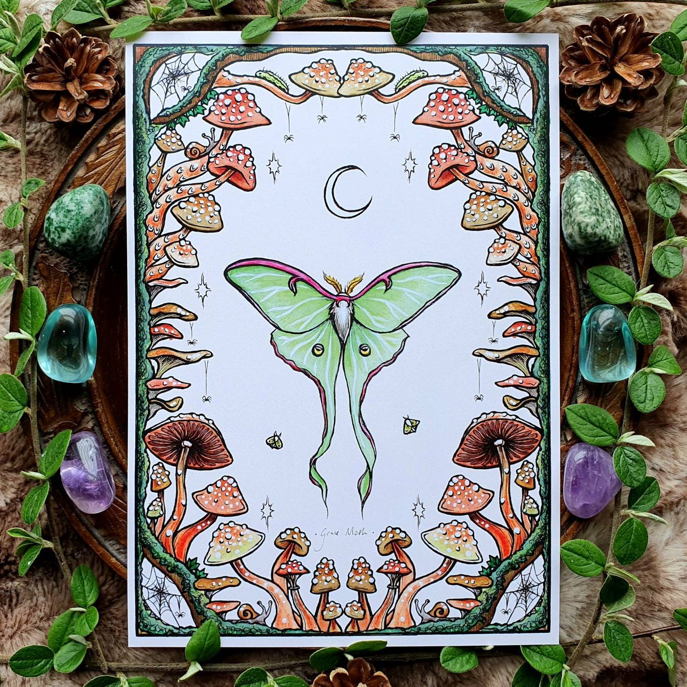 Luna Moth - A5 art print by Grace Moth - 5.8 x 8.3