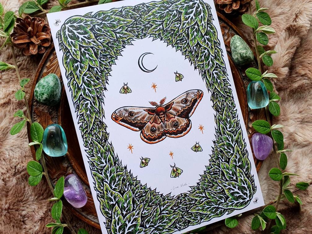 Emperor Moth - A5 art print by Grace Moth - 5.8 x 8.3