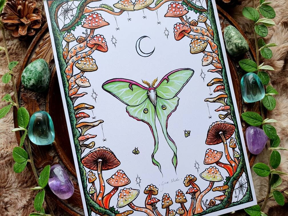 Luna Moth - A5 art print by Grace Moth - 5.8 x 8.3