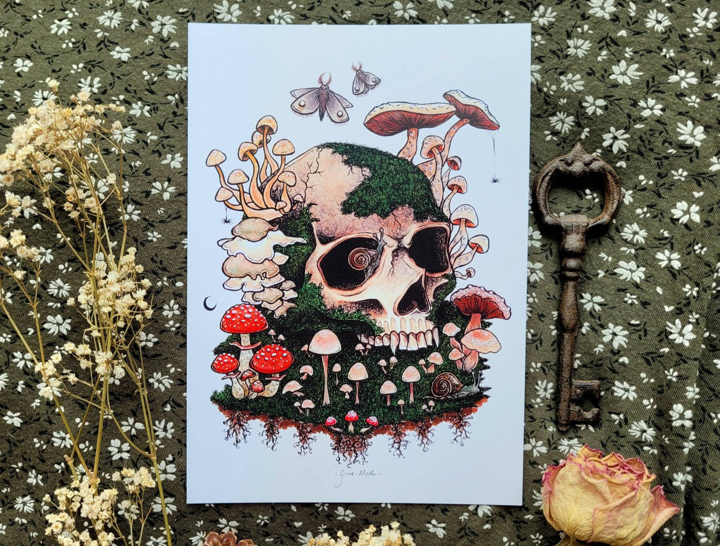 Here lies a Fungi - A5, A4 or A3 art print by Grace Moth - 5.8 x 8.3