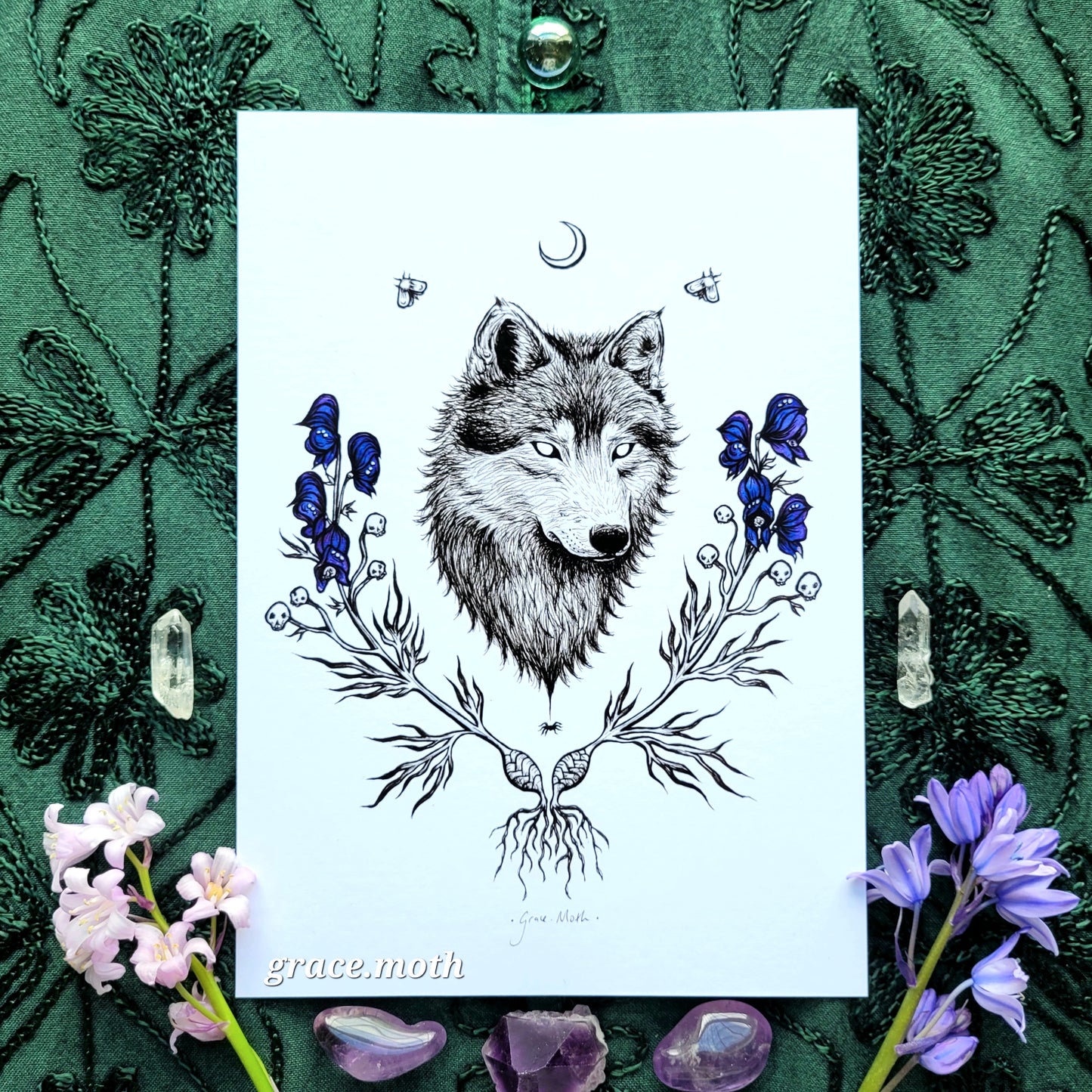 Wolfsbane - A5 or A4 art print by Grace Moth - 5.8 x 8.3