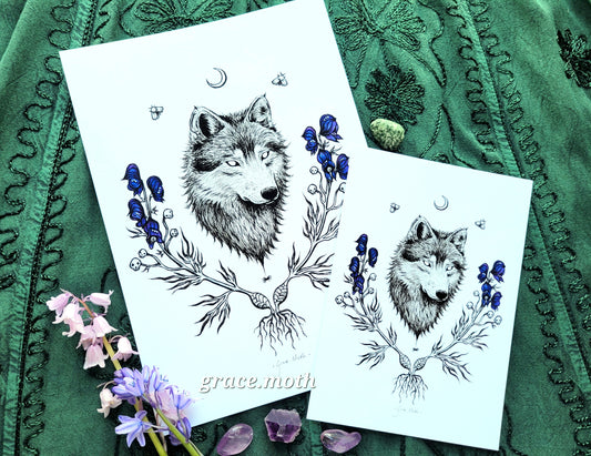 Wolfsbane - A5 or A4 art print by Grace Moth - 5.8 x 8.3