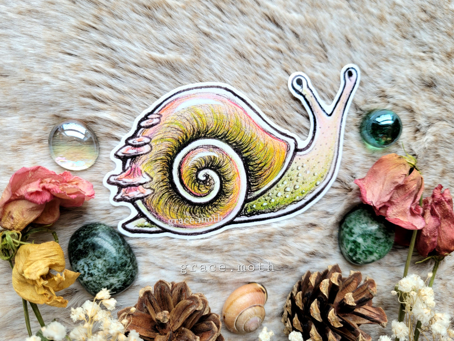 Cute Snail - Vinyl Sticker 10cm - Cottagecore - Witchy - Gothic - Illustrated by Grace moth
