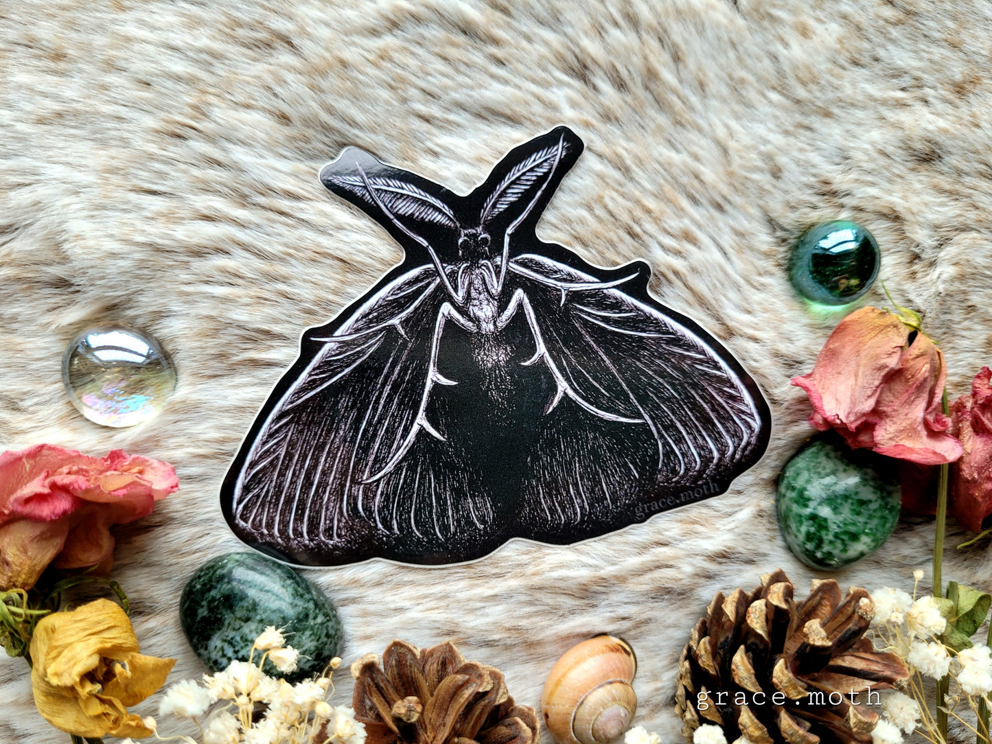 Dark Moth - Vinyl Sticker 10cm - Cottagecore - Witchy - Gothic - Illustrated by Grace moth