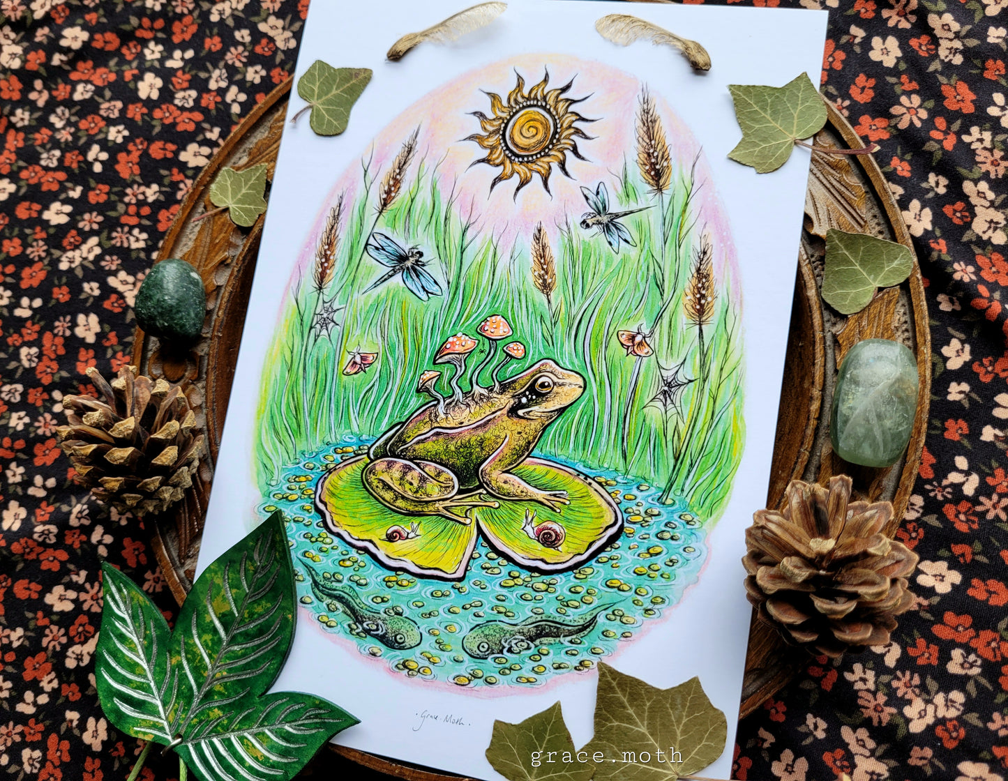 Frog on Lily Pad - A5 or A4 art print illustrated by Grace Moth - Cottagecore - Witchy - Gothic