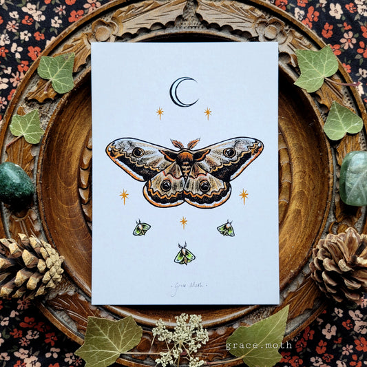 Emperor Moth - A6 print by Grace Moth - 5.8 x 4.1