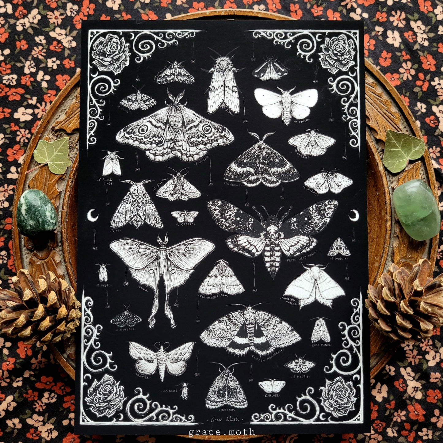 Black Moth Treasures - A5, A4 or A3 Art print illustrated by Grace Moth