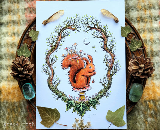 Autumn Red Squirrel - white background - A5, A4 and A3 art print illustrated by Grace Moth - Cottagecore - Witchy - Gothic