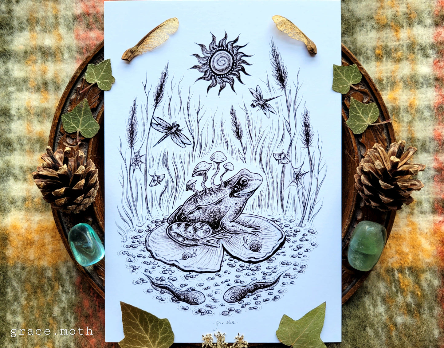 Frog on Lily Pad sketch - A5 art print by Grace Moth - Whimsigoth