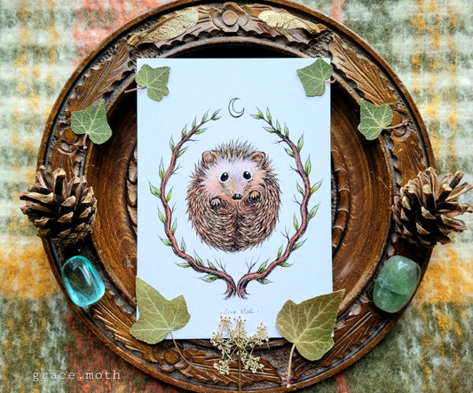 Cute Hedgehog - A6 print by Grace Moth - 5.8 x 4.1 - Cottagecore - Gothic - Witchy