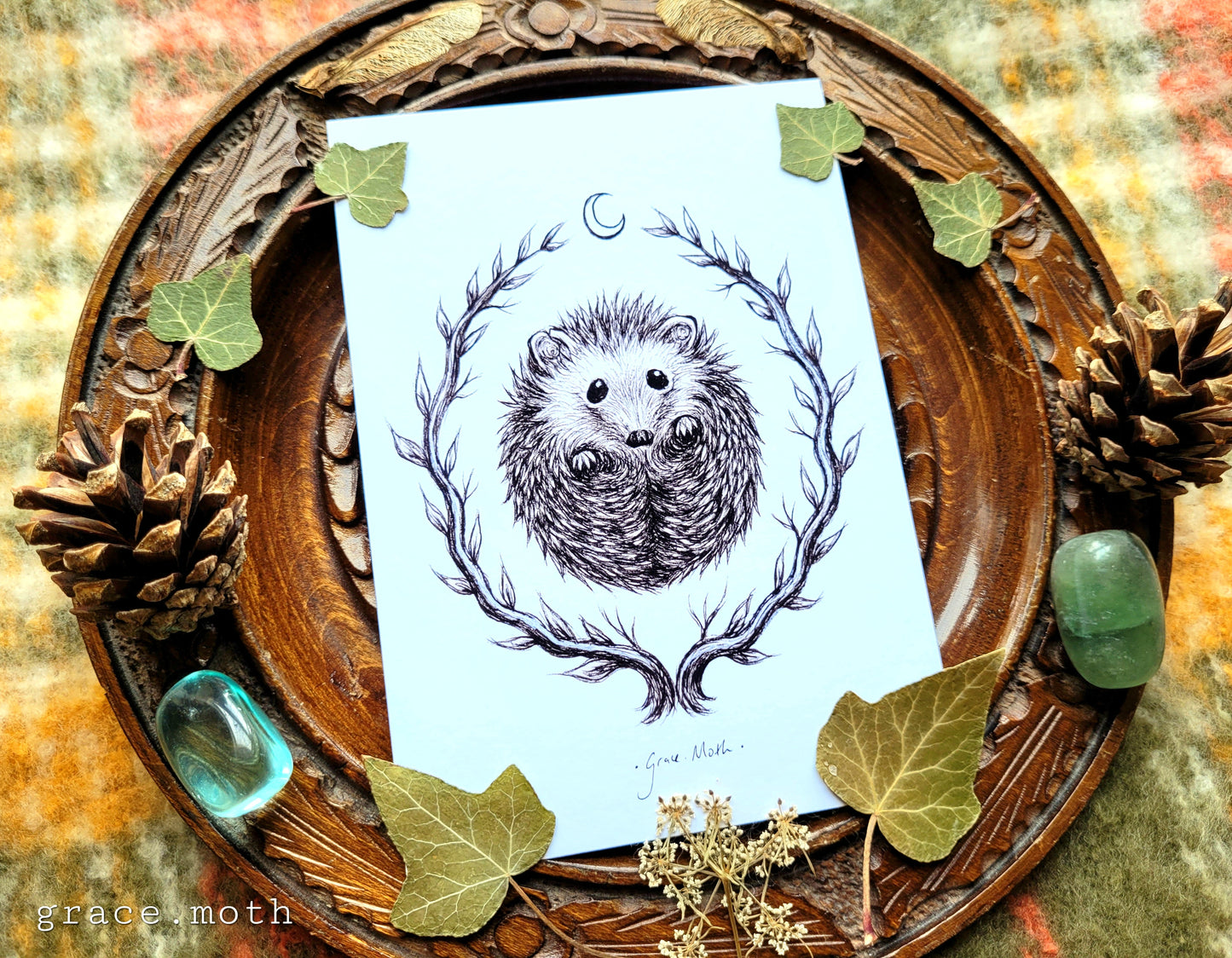 Cute Hedgehog sketch - A6 print by Grace Moth - 5.8 x 4.1 - Cottagecore - Gothic - Witchy