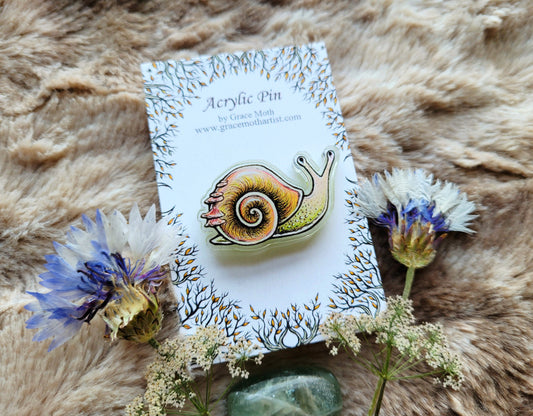 Cute Snail illustrated pin, recycled clear acrylic, by Grace Moth
