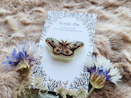 Emperor Moth illustrated pin, recycled clear acrylic, by Grace Moth
