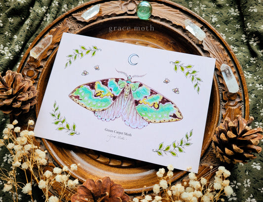 Green Carpet Moth - A6 print Illustrated by Grace Moth - 5.8 x 4.1 - Entomology
