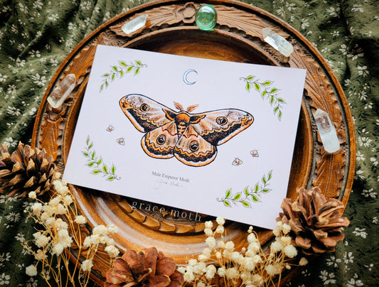 Emperor Moth - A6 print Illustrated by Grace Moth - 5.8 x 4.1 - Entomology - Male