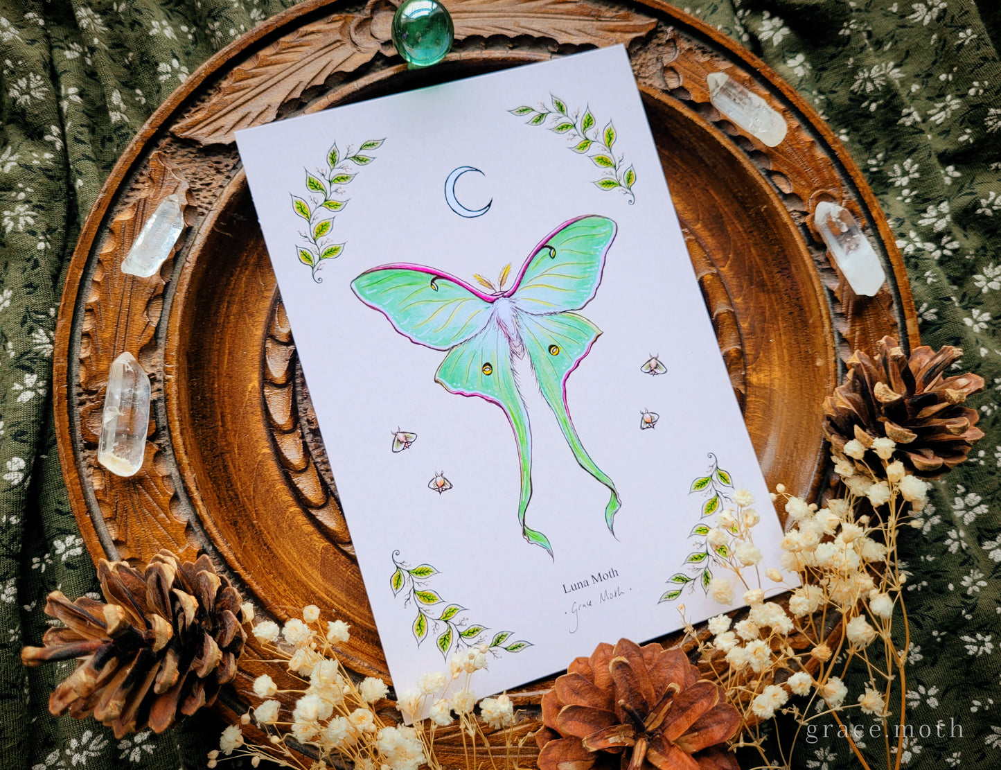 Luna Moth - A6 print Illustrated by Grace Moth - 5.8 x 4.1 - Entomology