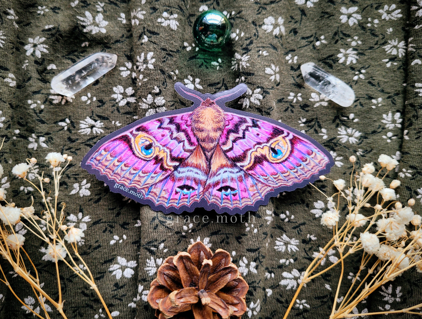 Granny Cloak Moth - Vinyl Sticker - 10cm illustrated by Grace Moth - Entomology - Insects - Watercolour - female