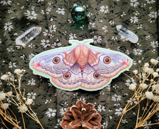Emperor Moth - Vinyl Sticker - 10cm illustrated by Grace Moth - Entomology - Insects - Watercolour - female