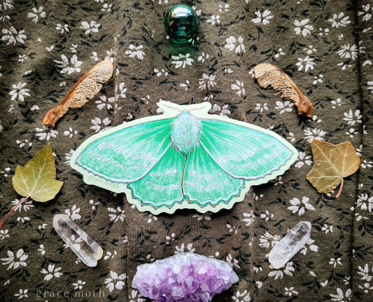 Emerald Moth - Vinyl Sticker - 10cm illustrated by Grace Moth - Entomology - Insects - Watercolour