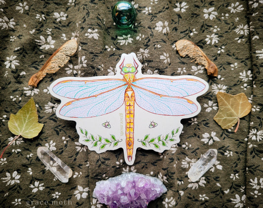 Dragonfly - Vinyl Sticker - 10cm illustrated by Grace Moth - Insects - Watercolour