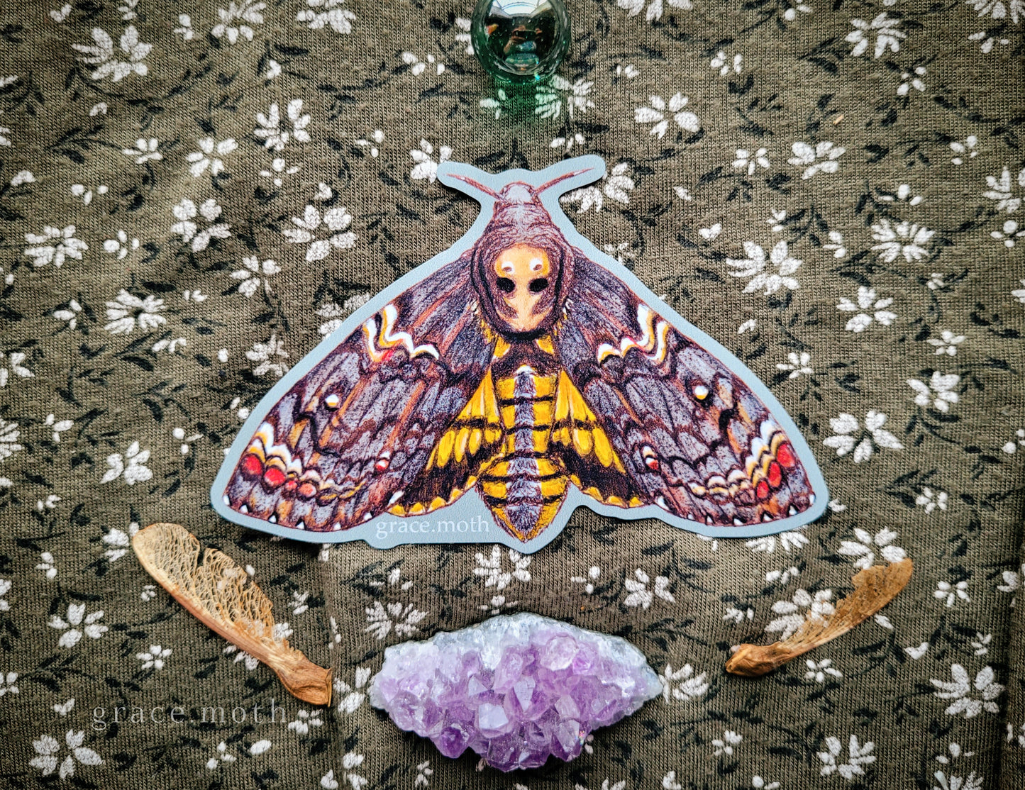 Deaths Head Hawk Moth - Vinyl Sticker - 10cm illustrated by Grace Moth - Entomology - Insects - Watercolour