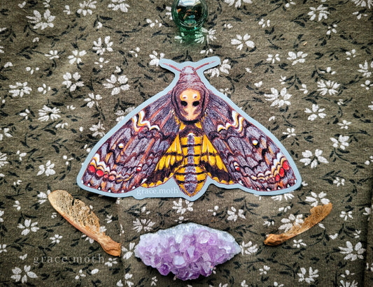 Deaths Head Hawk Moth - Vinyl Sticker - 10cm illustrated by Grace Moth - Entomology - Insects - Watercolour