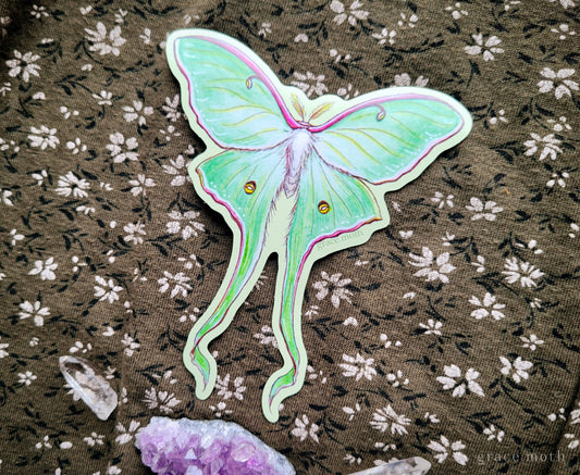 Luna Moth - Vinyl Sticker - 10cm illustrated by Grace Moth - Entomology - Insects - Watercolour