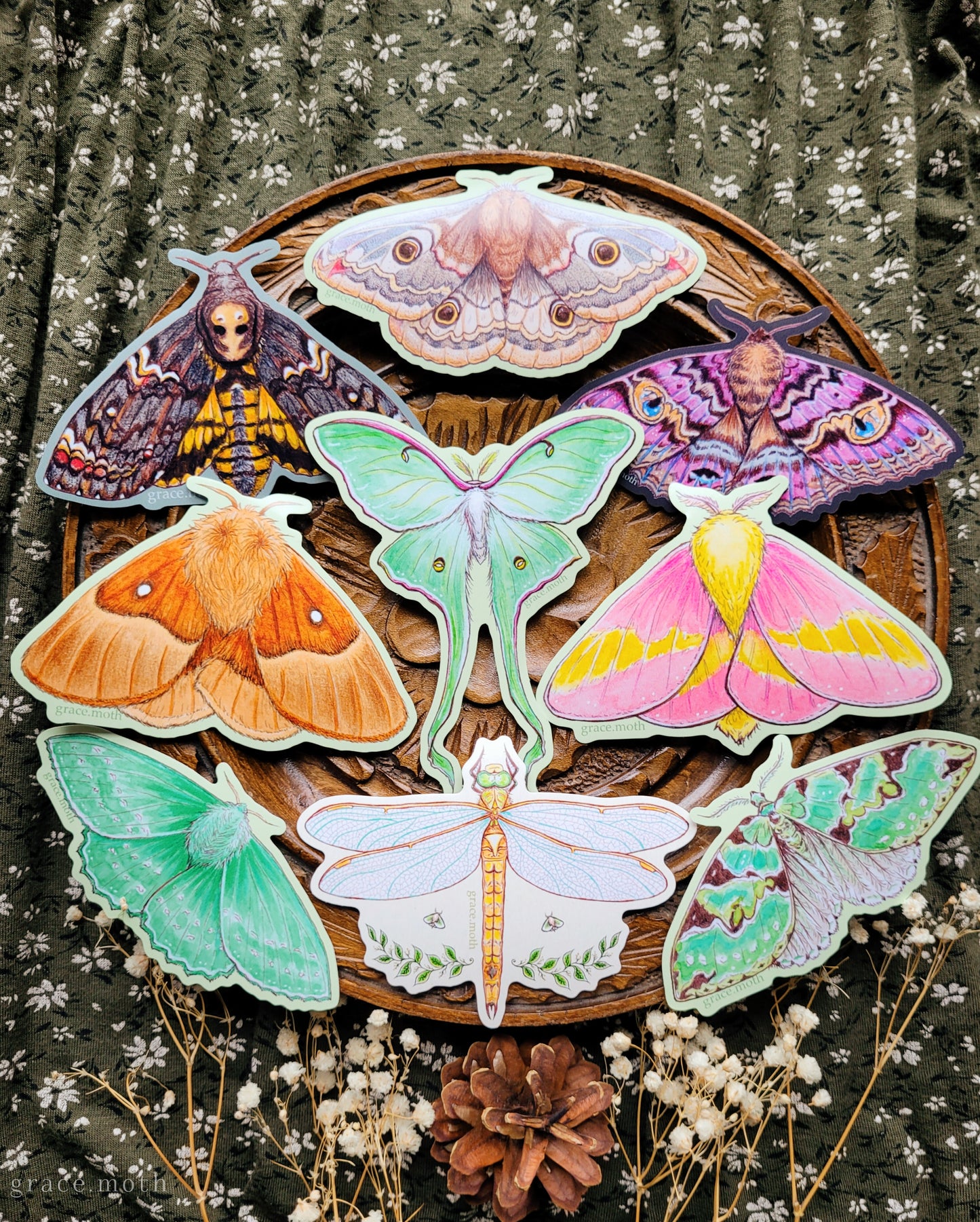 Emperor Moth - Vinyl Sticker - 10cm illustrated by Grace Moth - Entomology - Insects - Watercolour - female