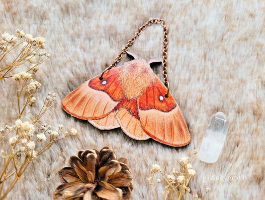 Oak Eggar Moth ornament, wall hanging, 7.5cm, responsibly sourced cherry wood, illustrated by Grace Moth, Entomology